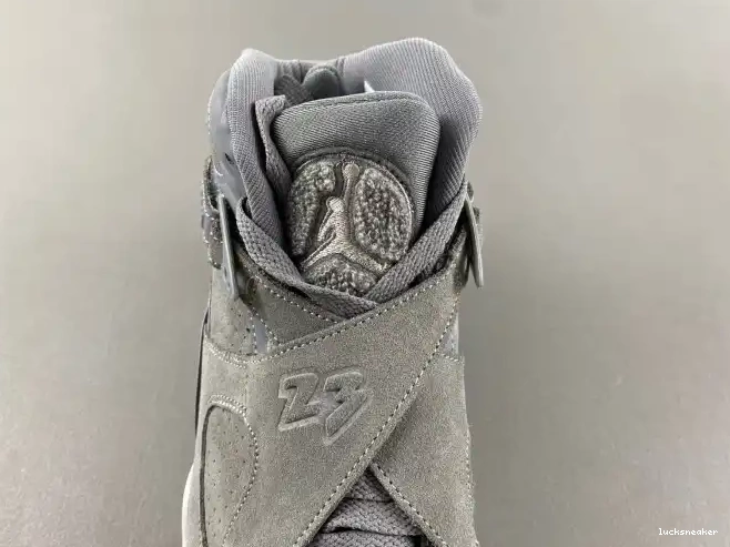 Reps LUCY 8 Retro Cool Jordan Grey 305381-014 0521